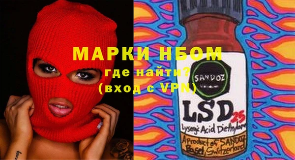 ECSTASY Бородино