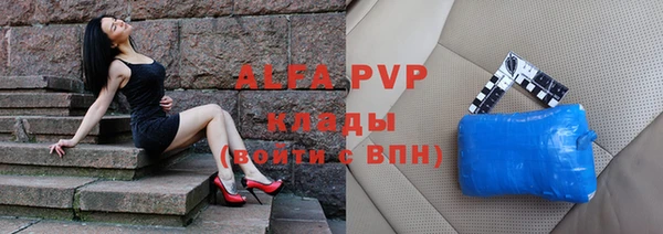 прущие грибы Белоозёрский