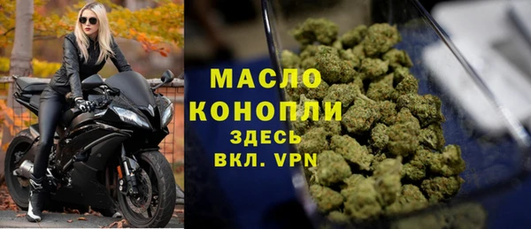 ECSTASY Бородино