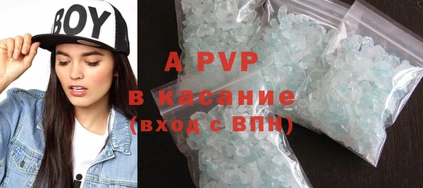 ECSTASY Бородино