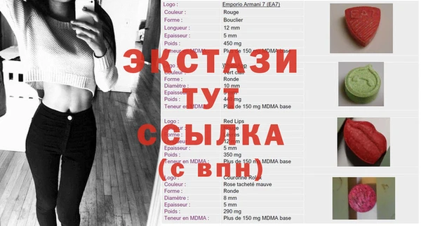 ECSTASY Бородино