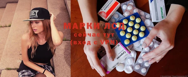 ECSTASY Бородино